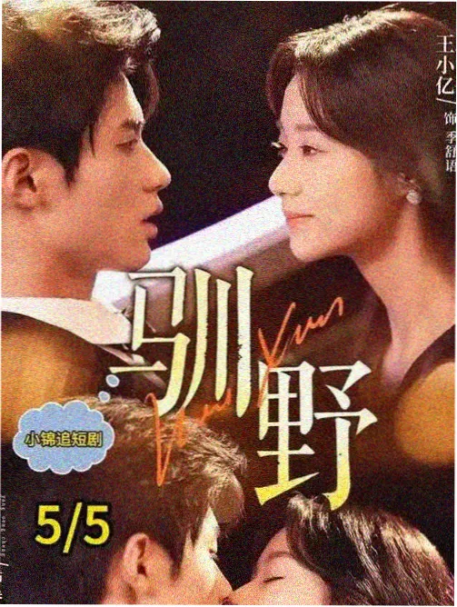 继母日本日剧《第二任母亲的料理帖》封面